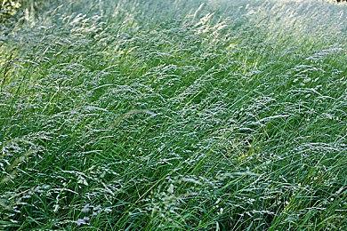 时光倒流！2D横版复古作品《恐龙战队：丽塔回溯》公布